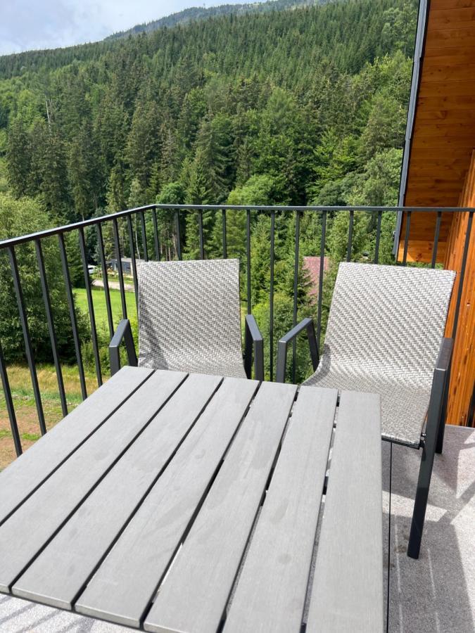 Apartman - Dolni Morava - "Sedmicka" Pro 2 Az 6 Osob Екстер'єр фото
