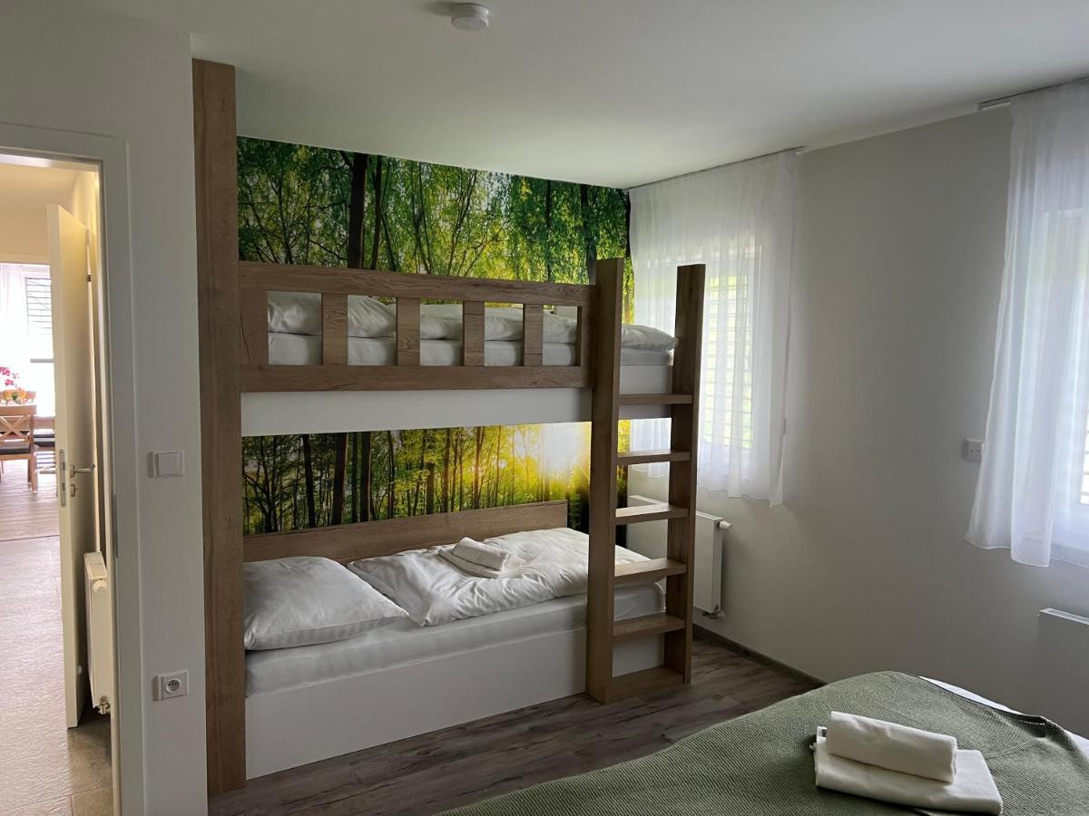 Apartman - Dolni Morava - "Sedmicka" Pro 2 Az 6 Osob Екстер'єр фото